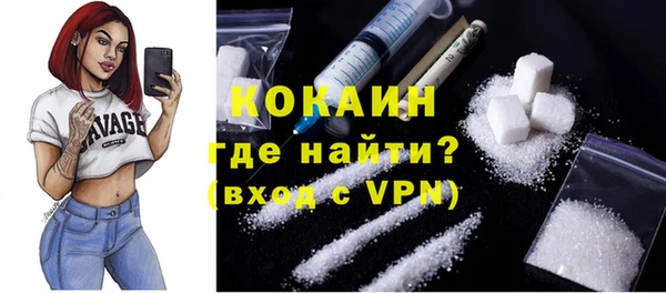 стафф Арсеньев